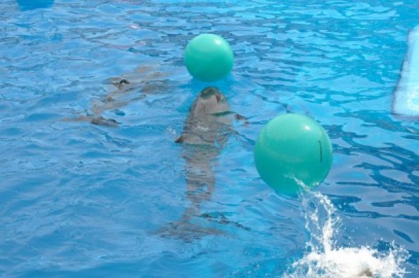 Aviz amatorilor! Complexul Muzeal de Ştiinţe ale Naturii are un nou program